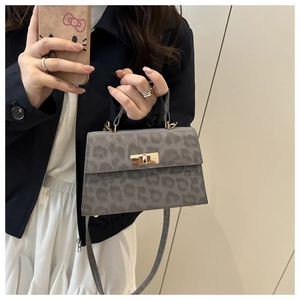 Detail of grey leopard print handbag featuring a gold twist lock and a slim shoulder strap