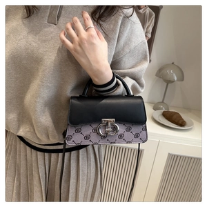 Detail of elegant two-tone crossbody bag with silver T-clasp and interlocking pattern