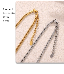 Macro view of stainless steel necklace clasp and extension chain with S.Steel tag
