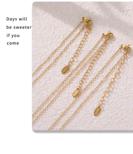 Macro shot of 18k gold plated stainless steel lobster clasp and extension chain detail