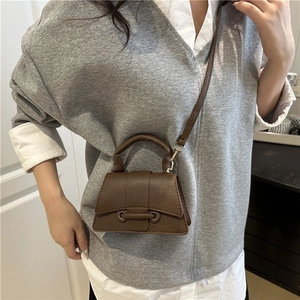 Close-up of mini brown crossbody bag featuring lychee texture and unique metal bar closure
