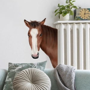 Realistic brown horse head wall sticker decal for living room interior home decoration