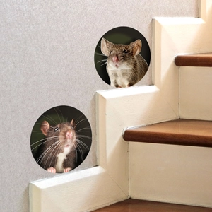 3D realistic cartoon mouse hole wall stickers for home decor on grey staircase wall