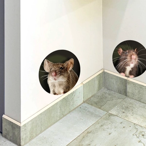 3D realistic mouse hole wall stickers made of waterproof PVC for home corner decor