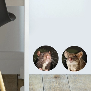 Detailed realistic 3D mouse hole wall stickers with cute animals on white wall