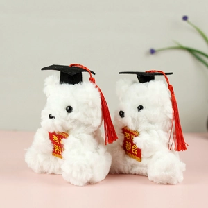 Detail of two white plush graduation bears with black doctoral caps and red wish boards