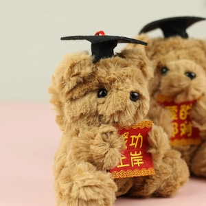 Detail of graduation teddy bear plush with doctoral cap and 'Success' scroll message