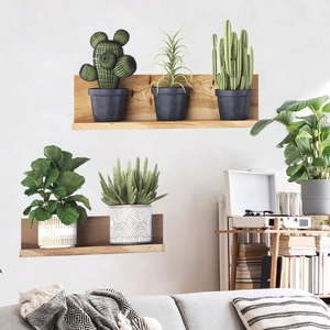 Detail of wooden wall shelves with assorted artificial green succulents and cacti decor