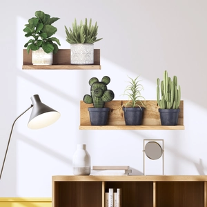 Detail of wooden floating shelves with various miniature potted green plants and cacti
