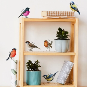 Detailed realistic hand-painted bird wall stickers featuring colorful garden birds on a white wall