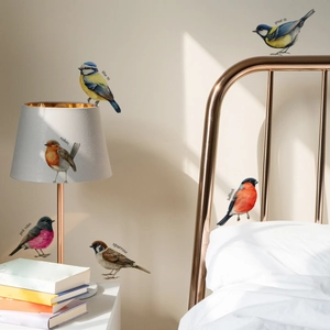 Detailed view of colorful realistic bird wall decals applied to a bedroom interior wall