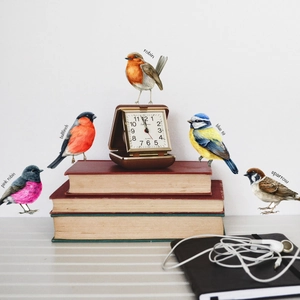 Detail showing five artistic bird wall stickers including Pink Robin and Blue Tit with vintage clock
