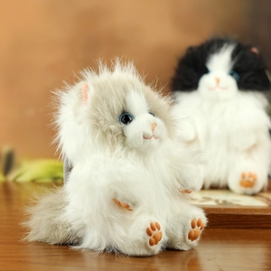 Detail of fluffy long-haired plush cats with blue eyes and pink paws in a warm setting