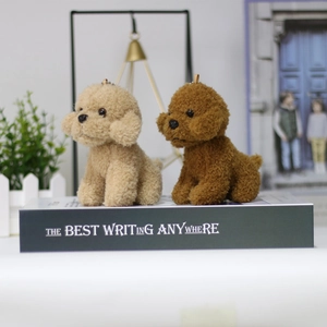 Cute beige and brown curly plush teddy dog keychains on decorative book props
