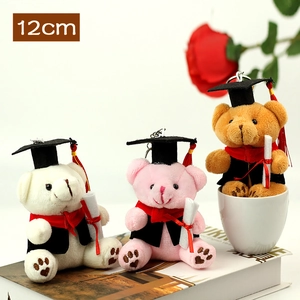 Set de porte-clés ours en peluche de remise de diplôme 12cm en crème rose et brun