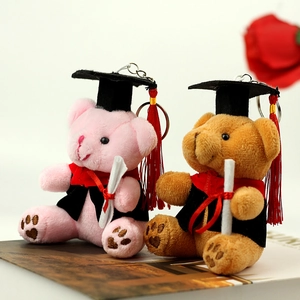 Détail des ours en peluche de remise des diplômes rose et marron avec toge et mortier