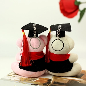 Détail des oursons en peluche diplômés roses et blancs avec toges et anneaux métalliques