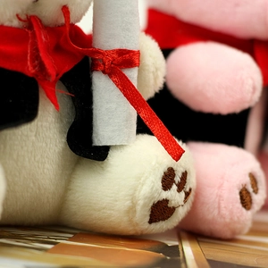 Vue macro de l'ours en peluche diplômé avec patte brodée et ruban en satin rouge