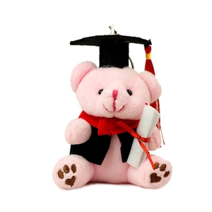 Ours en peluche rose de remise des diplômes en robe noire avec diplôme sur fond blanc