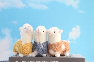 Three colorful plush alpaca toys on a book with lamb wool texture and blue sky background