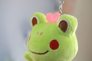 Detailed close-up of a plush frog keychain featuring a pink heart and embroidery