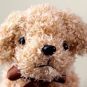 Close-up of curly apricot plush teddy dog doll with soft fur and dark brown ribbon bow