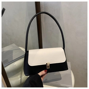 Detailed close-up of a minimalist black and white shoulder bag with gold clasp and strap