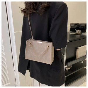 Detail of beige crocodile pattern handbag featuring a gold chain strap and metal plate