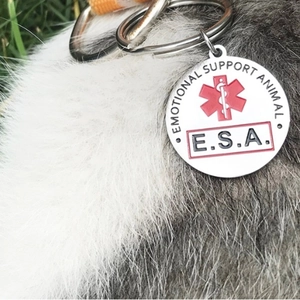 Placa ESA de acero inoxidable con Estrella de la Vida roja en collar de perro