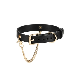 Verstelbare zwarte lederen hondenhalsband met gouden metalen details en een ketting