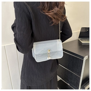 Vue détaillée d'un sac transparent en PVC avec chaîne dorée et perles élégantes