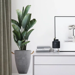 Kreative Grüne Topfpflanzen Wandaufkleber PVC Tropische Blumen Blätter DIY Wandtattoo Für Wohnzimmer Schlafzimmer Home Deko