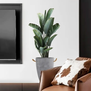 Minimalistische Wandaufkleber mit großen tropischen Blättern der Paradiesvogelblume