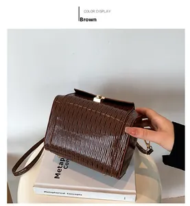 Vista dettagliata della borsa a scatola marrone con trama intrecciata e chiusura dorata