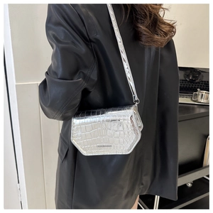 Detail of silver crocodile pattern crossbody bag with Fashion & Bags text on model