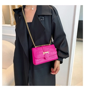 Close-up of bright pink crocodile pattern leather bag with golden H clasp and chain strap