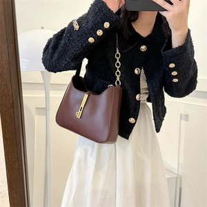 Brown vintage leather shoulder bag with gold chain strap and vertical metal clasp detail