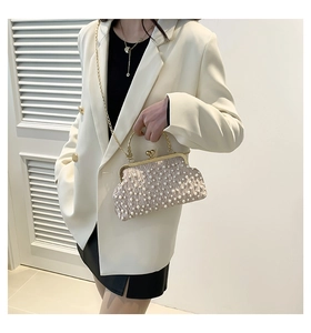 Exquisite pearl evening bag with vintage metal clasp and elegant gold chain strap