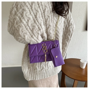 Detailed shot of purple quilted crossbody bag with gold S chain and mini coin purse
