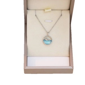 Minimalist whale pendant necklace with blue gemstone displayed in a jewelry gift box