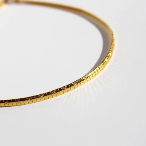Flat golden snake bone necklace with textured link design shown in a close-up shot