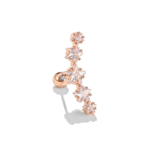 Détail macro de boucles d'oreilles cinq étoiles en or rose avec zircons scintillants