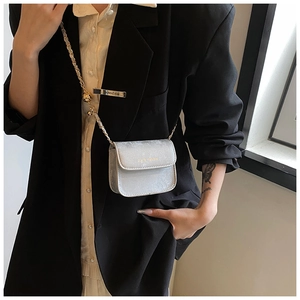 Detail of silver square crossbody bag with gold chain strap and rich rabbit text