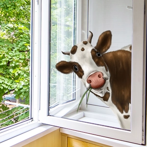 Detail of 3D cartoon cow window sticker with a funny cow peeking through the glass