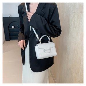 Minimalist white mini crossbody bag for women with gold hardware and top handle