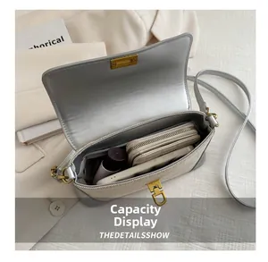 Detailed interior capacity display of the silver-grey flap bag with golden lock