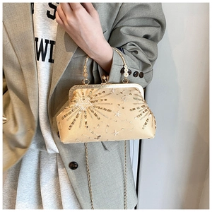 Close-up of champagne gold sequin embroidery on vintage-style evening clutch bag