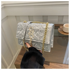 Silver-grey pleated crossbody bag with a gold chain strap and stylish S-shaped logo tassel
