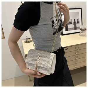 Close-up of cream woven mini bag featuring gold S-letter buckle and metal chain strap
