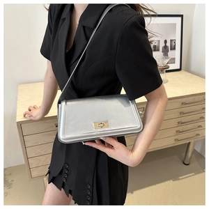 Silver minimalist shoulder bag with gold twist lock shown on a black dress